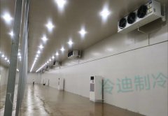 上海150立方-20℃低温血浆冷藏库建造预算多少钱