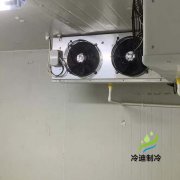 湖州疾控中心GSP医药冷库（体外诊断试剂冷藏室）建造认证要求