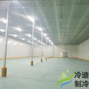 江苏安装0~5℃恒温水果保鲜冷库设计安装施工造价成本?